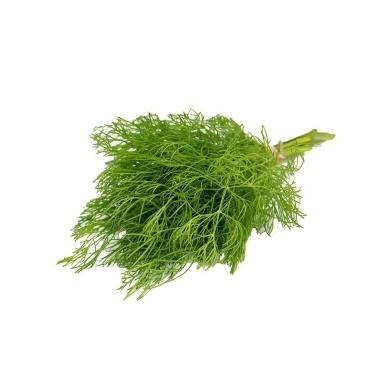 Baby Dill 100g